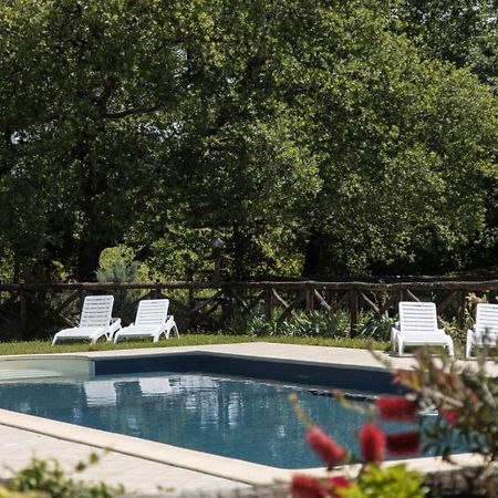 Agriturismo Le Baccane Vinci Extérieur photo