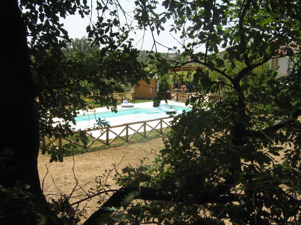 Agriturismo Le Baccane Vinci Extérieur photo