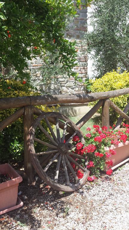 Agriturismo Le Baccane Vinci Extérieur photo